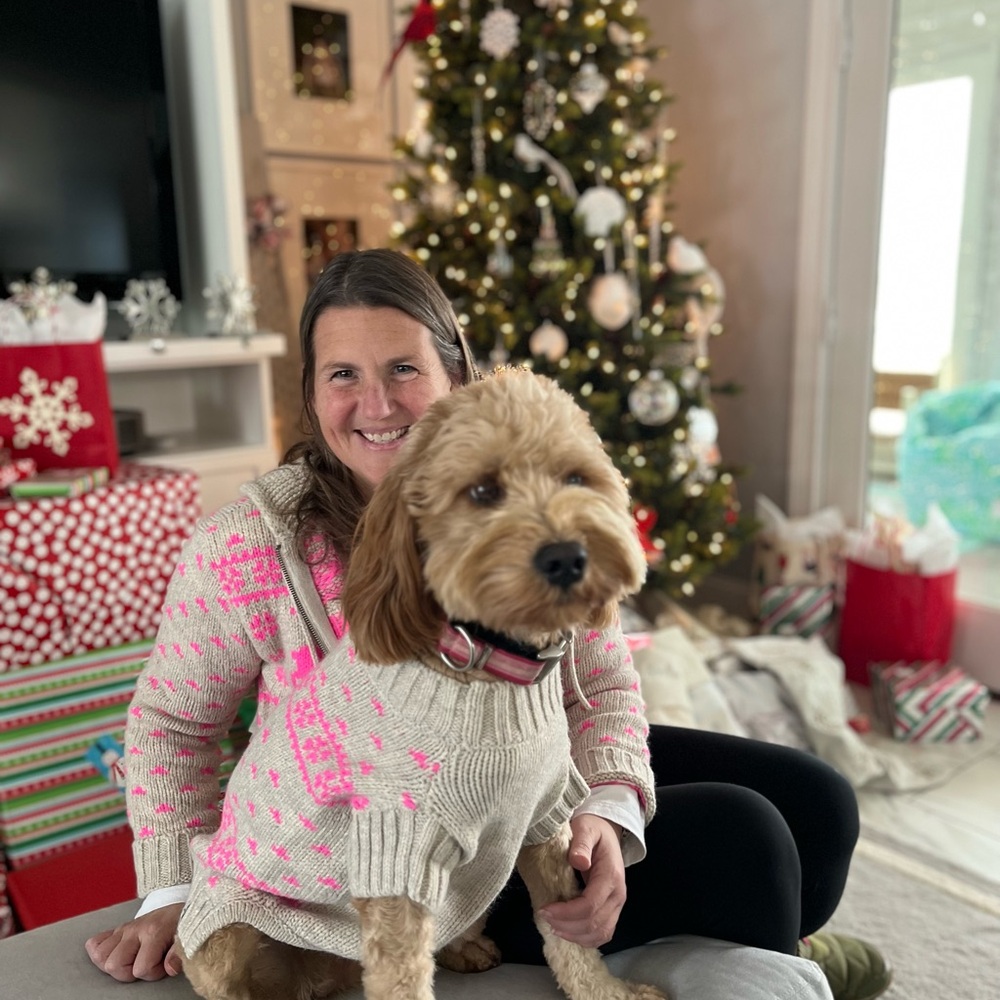 American Eagle Outfitters Cream and Pink Reindeer Cardigan - Picture 7 of 7